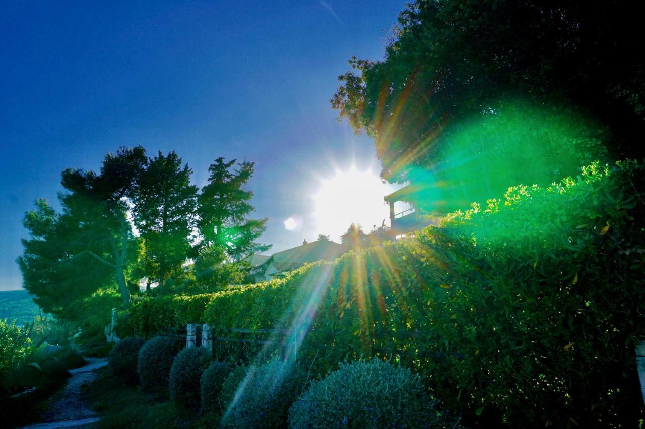 La Vida Loca Villa Seget Vranjica Buitenkant foto